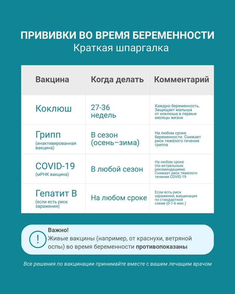 Когда и какие прививки нужно делать во время беременности